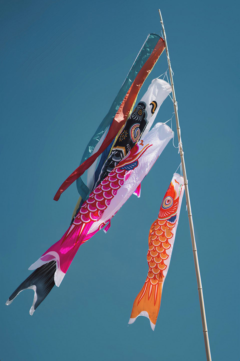 Des koinobori, carpes de tissu colorées suspendues à un mât, flottant dans un ciel bleu