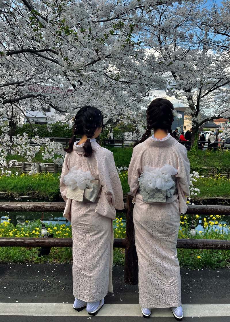 Deux personnes en kimono devant des cerisiers en fleurs, au bord d'un canal