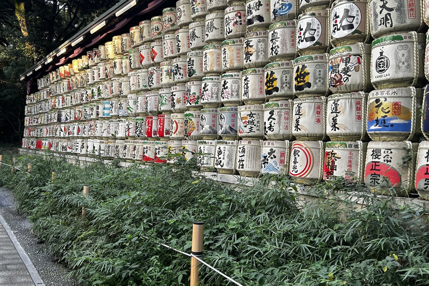 Mur de tonneaux de saké (komodaru) offerts, exposés près du sanctuaire Meiji, à Tokyo.