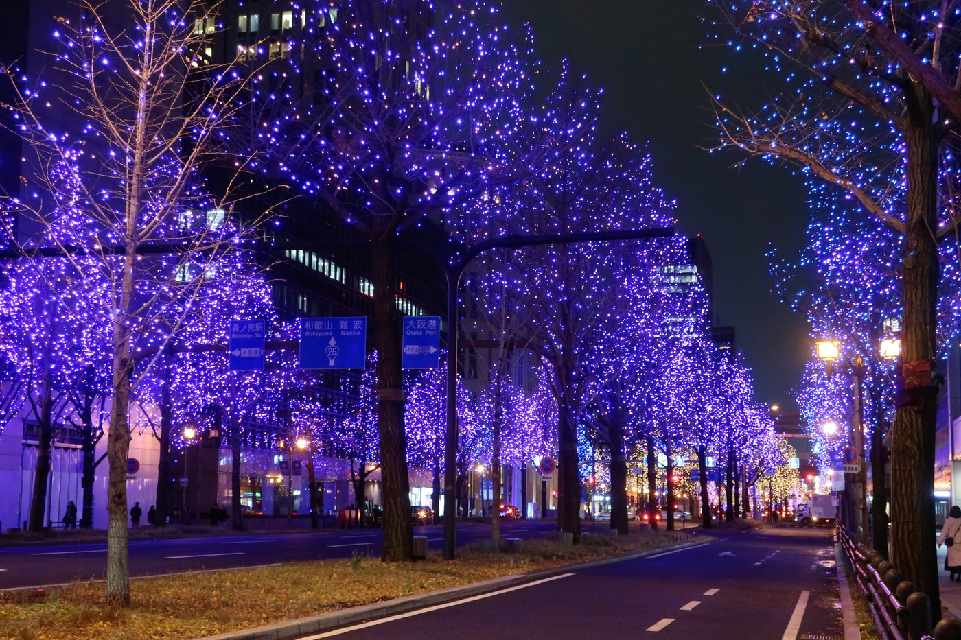 Avenue Midōsuji à Osaka, arbres illuminés de bleu la nuit, sur toute la longueur de la rue.