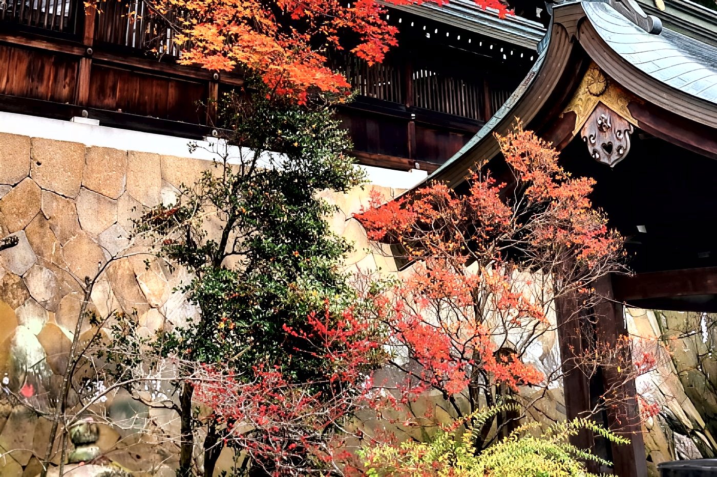 Érables rouge et or devant le toit d'un sanctuaire japonais, pins en arrière-plan.
