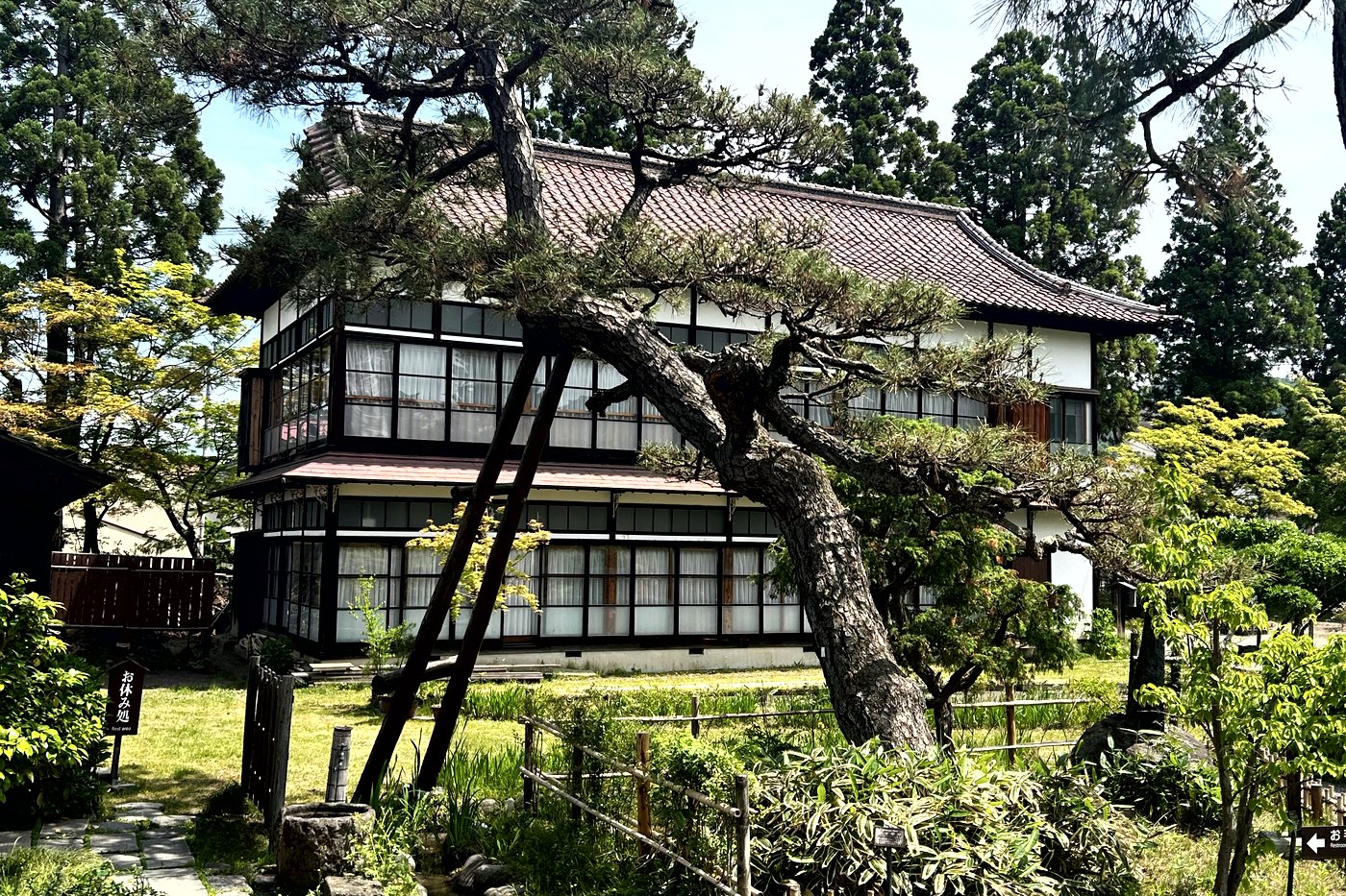 Pin centenaire soutenu par des étais devant une maison de thé du jardin Oyakuen, à Aizuwakamatsu.
