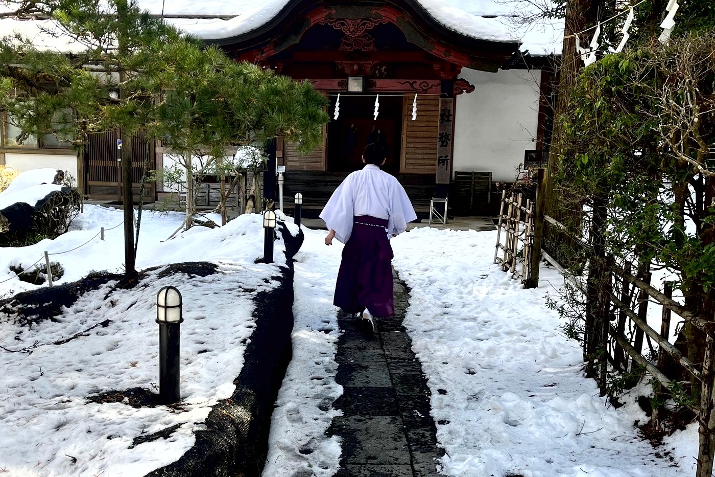 Prêtre shintoïste en hakama violet marchant vers le bureau d'un sanctuaire enneigé.