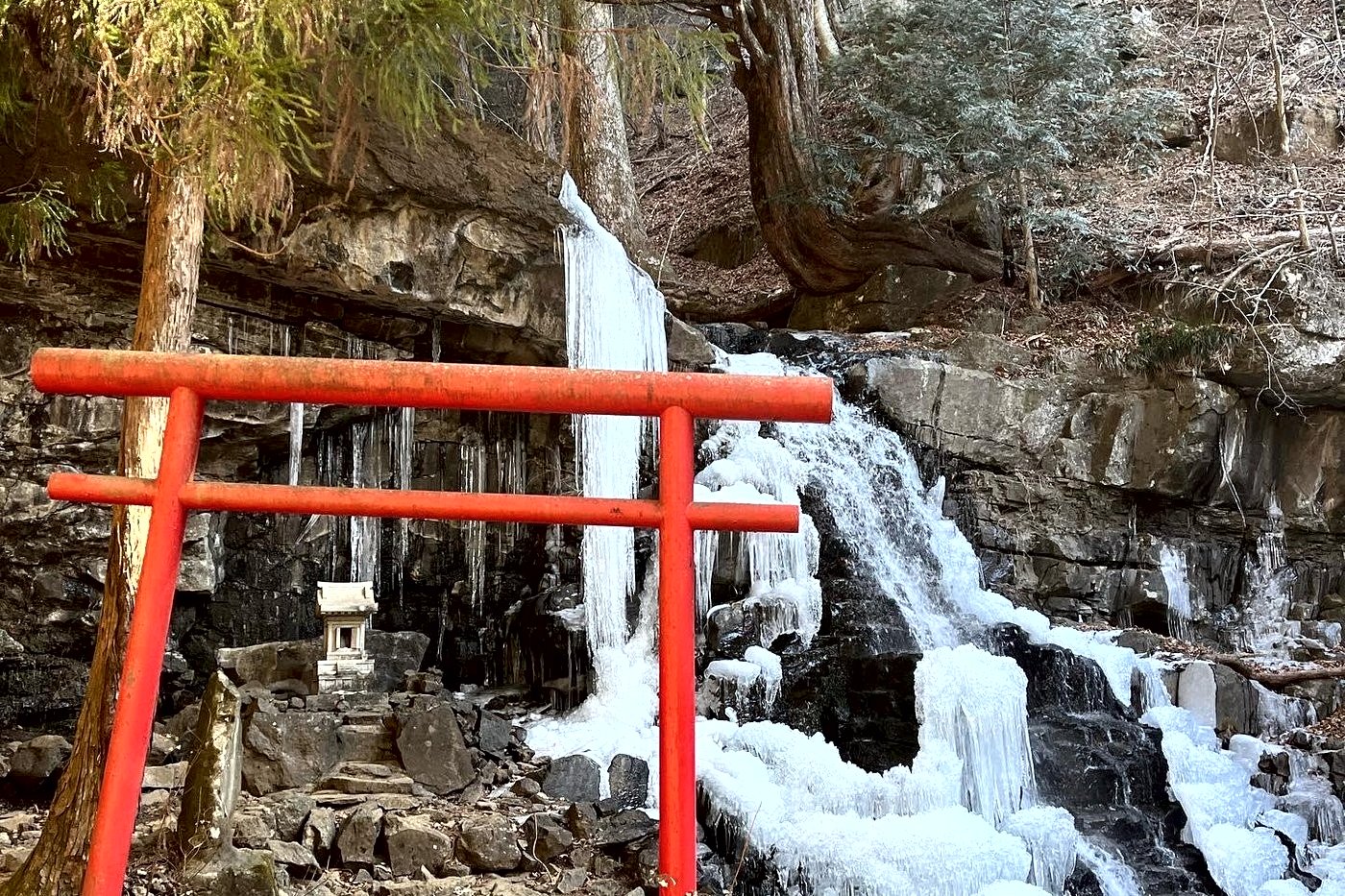 Torii rouge devant une cascade gelée, glaçons suspendus sur la roche entourée de sapins.