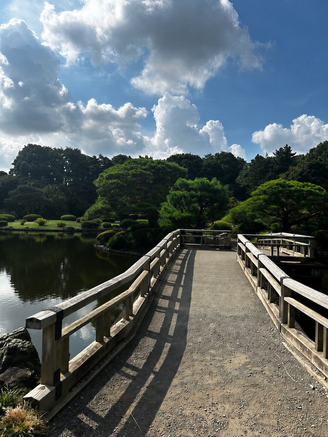 Un pont de bois franchit l'étang du jardin de Shinjuku Gyoen à Tokyo, sous les gros nuages de fin d'été, début septembre.