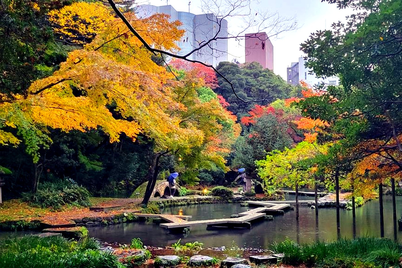 A zigzag stone walkway crossing a pond in Kenrokuen garden, autumn maples and downtown buildings behind.