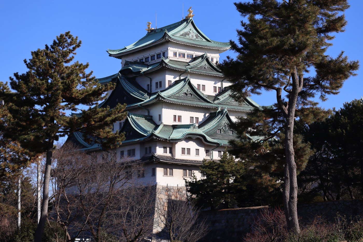 The keep of Nagoya castle, topped by its golden shachihoko, seen through pines.