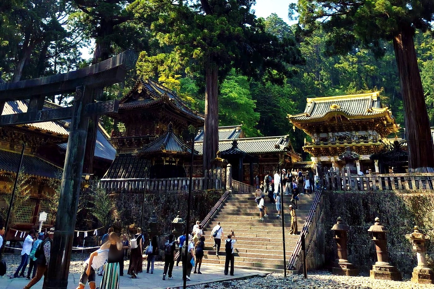 The torii and gilded buildings of Toshogu shrine in Nikko seen from the steps, ringed by old cedars, visitors on the stairs.