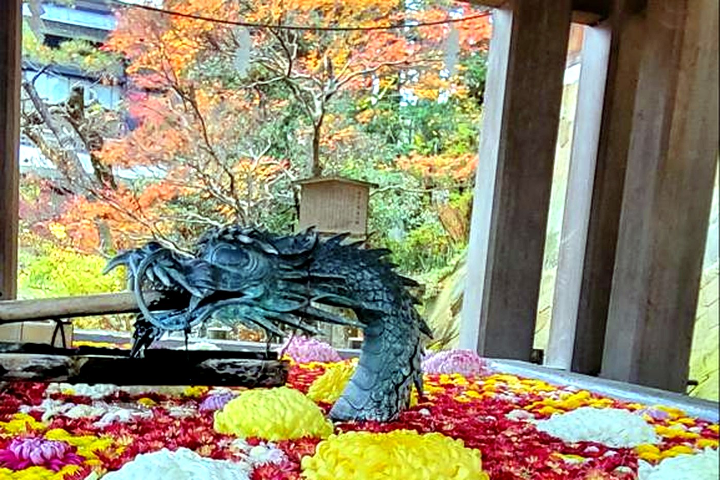 A dragon-shaped fountain ringed by multicolored chrysanthemums floating on a basin, autumn foliage behind, in Takayama.