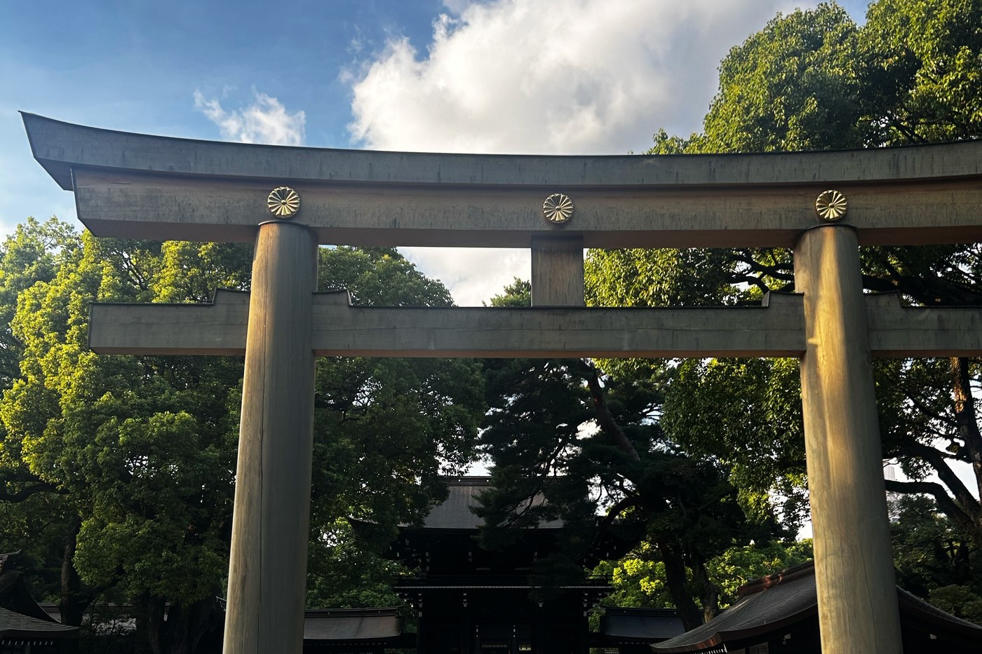 The great wooden torii of Meiji Jingu shrine, in Tokyo.